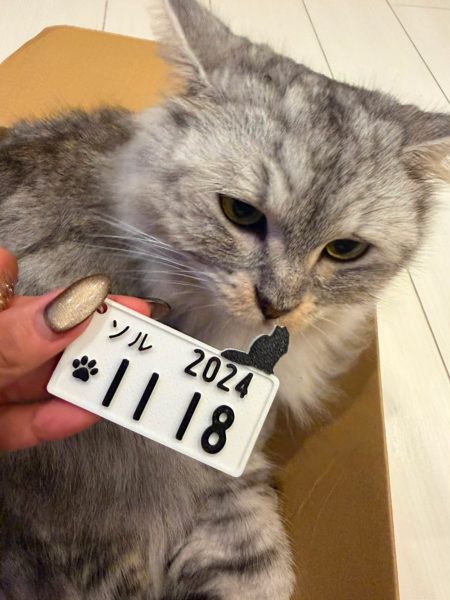 うちの子とプレートの写真 9
