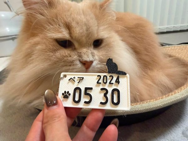 うちの子とプレートの写真 10